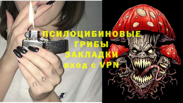 винт Лиски