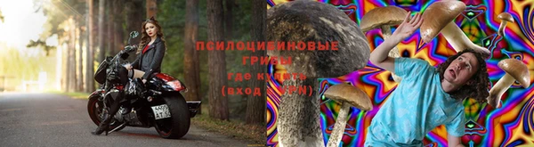 дурь Липки