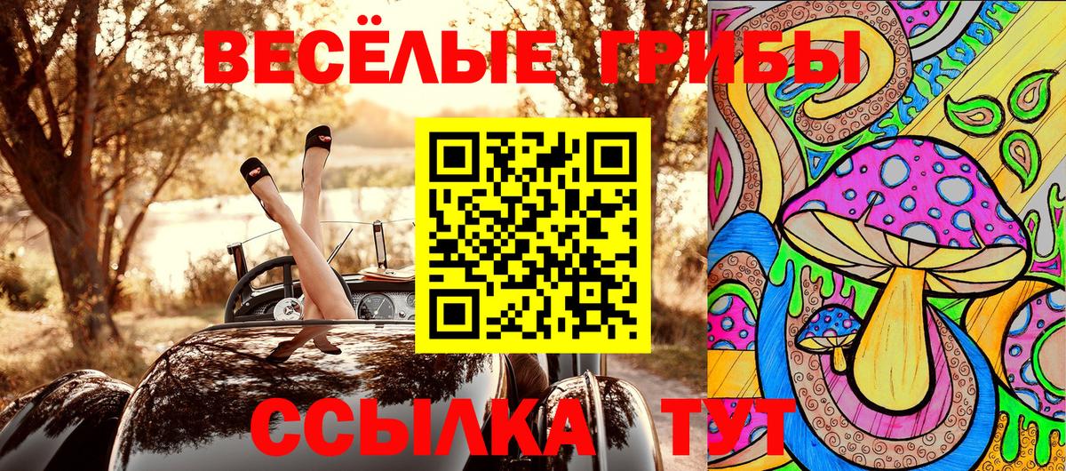 Дзержинск  Псилоцибиновые грибы прущие грибы  Вход с VPN 